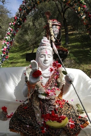 Shiva at Mandir