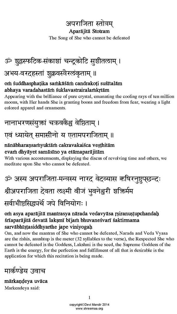 kali sahasranama stotram pdf