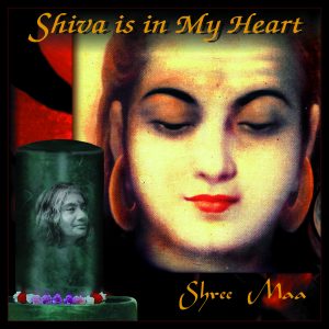 Shiva Cover 2