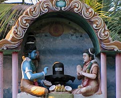 Shiva and Shakti worship a Shiva lingam together