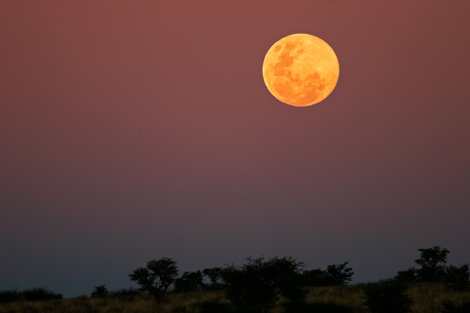 Full Moon for Satyanarayan Vrat, Vishnu Puja and Hindu Festival
