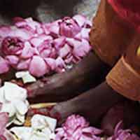 featured-image-lotus-puja