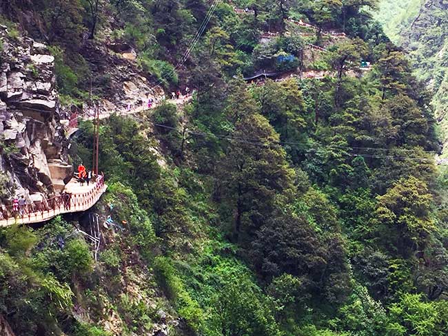 swamiji-on-mule-to-Yamunotri