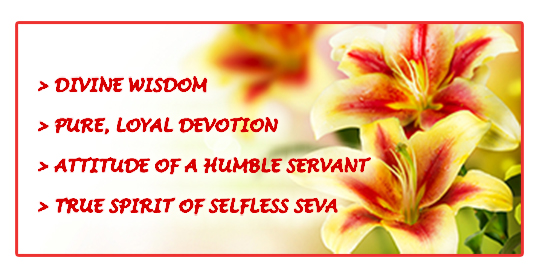 Divine-Qualities-1-600-px